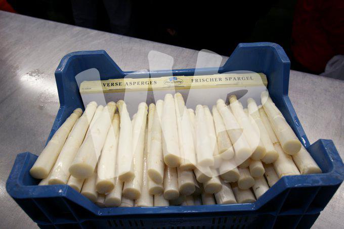Food vvbvanbree  2201