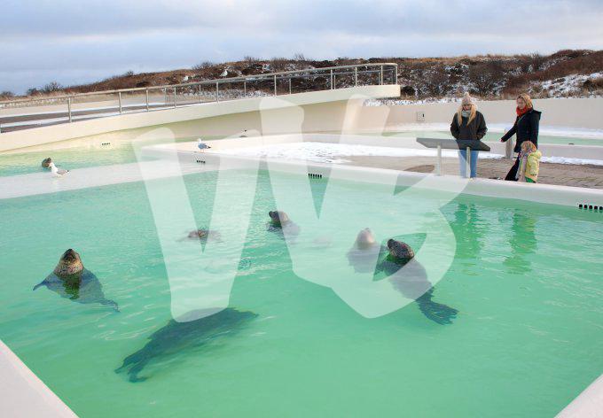 Ecomare Texel vvbvanbree 3278
