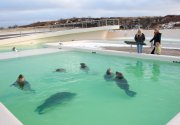 Ecomare Texel vvbvanbree 3278