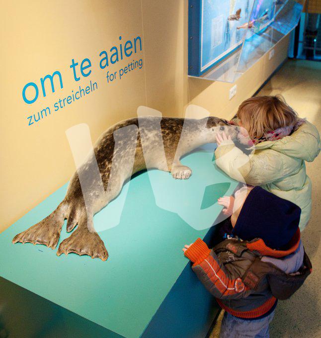 Ecomare Texel vvbvanbree 3284