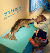 Ecomare Texel vvbvanbree 3284