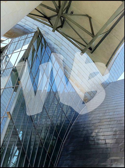 Guggenheim Bilbao vvbvanbree 3431