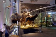 Naturalis museum vvbvanbree 3247