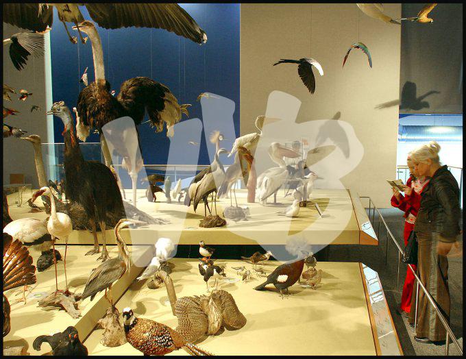 Naturalis museum vvbvanbree 3249