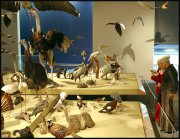 Naturalis museum vvbvanbree 3249