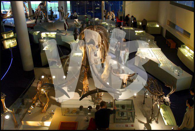 Naturalis museum vvbvanbree 3252