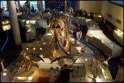 Naturalis museum vvbvanbree 3252