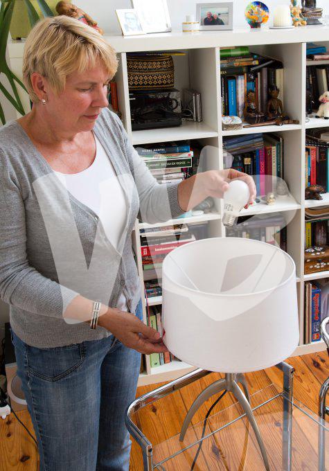 vvbvanbree vervangen ledlamp   2978
