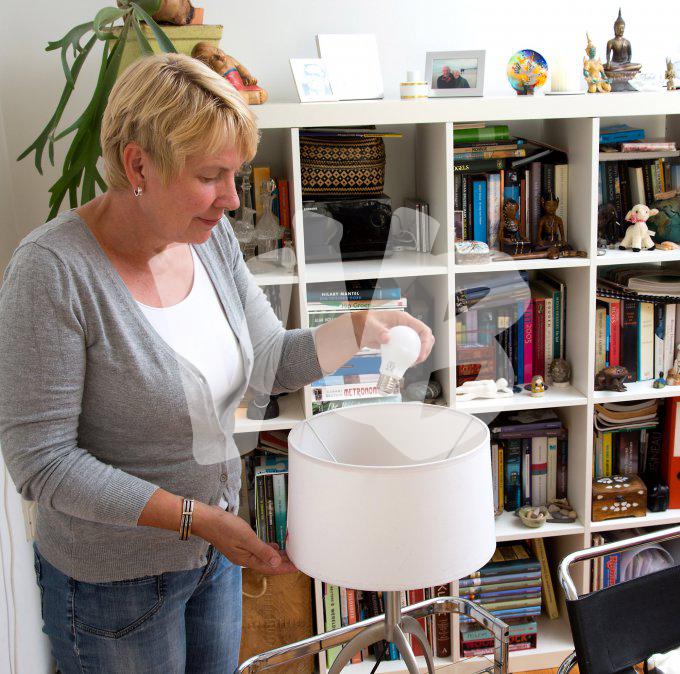 vvbvanbree vervangen ledlamp   2981