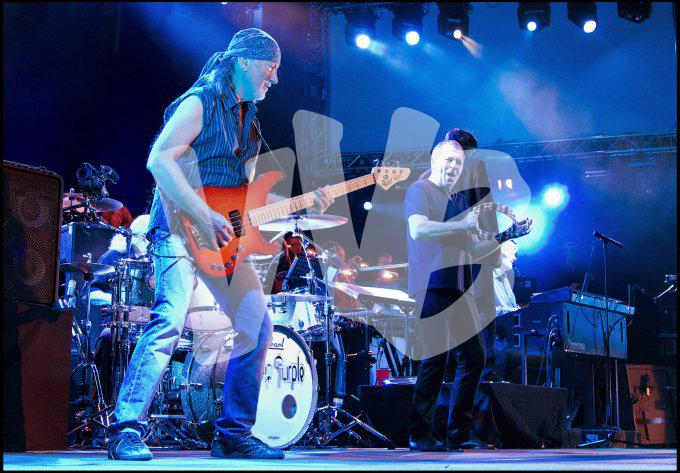 deep purple  vvbvanbree  1180