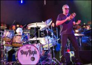 deep purple  vvbvanbree  1181
