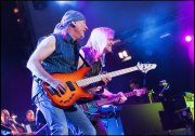 deep purple  vvbvanbree  1182