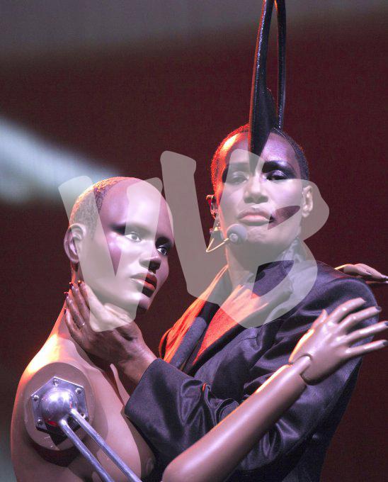 Grace Jones vvbvanbree 2010IMG_6238