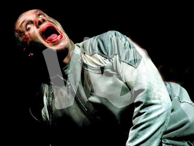 rammstein vvbvanbree 