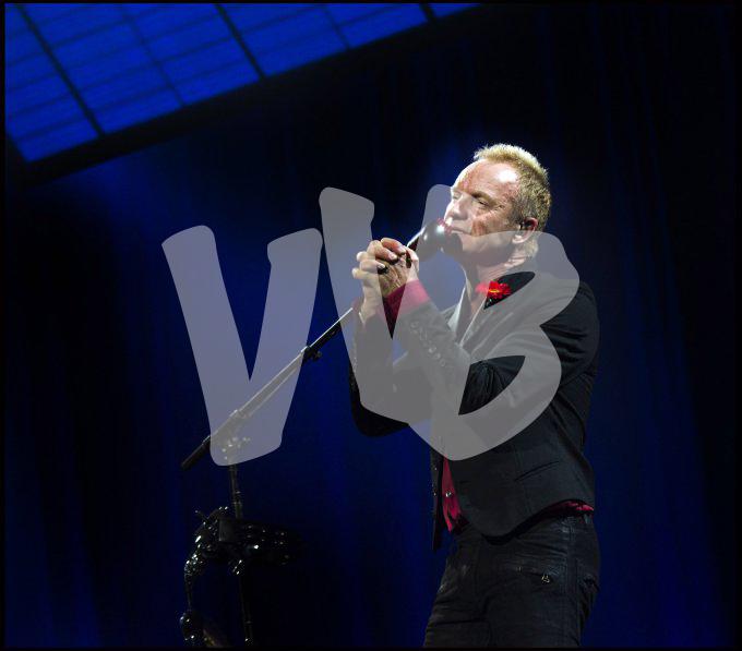 Sting vvbvanbree 3576