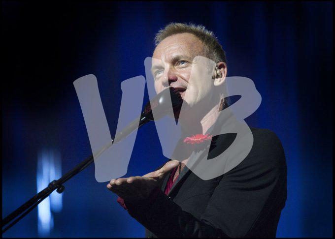 Sting vvbvanbree 3579