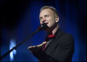 Sting vvbvanbree 3579