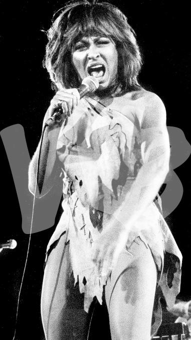 tina turner 1 vvbvanbree IMG_2144