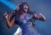 tina turner experience gelredome vvbvanbree 2582