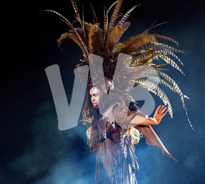 tina turner experience gelredome vvbvanbree 2584