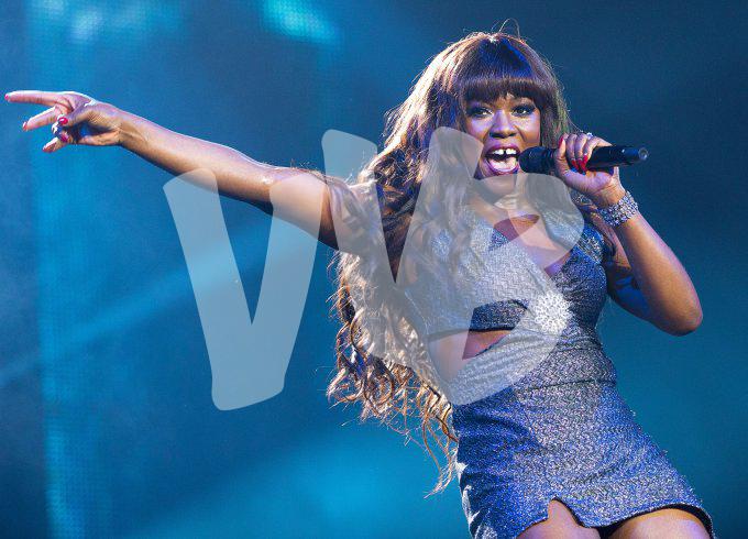 Tina Turner Experinence vvbvanbree 3604