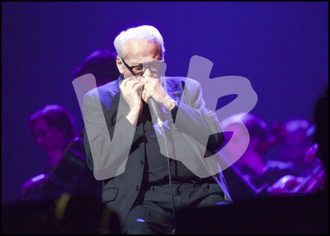 toots thielemans  vvbvanbree  1229