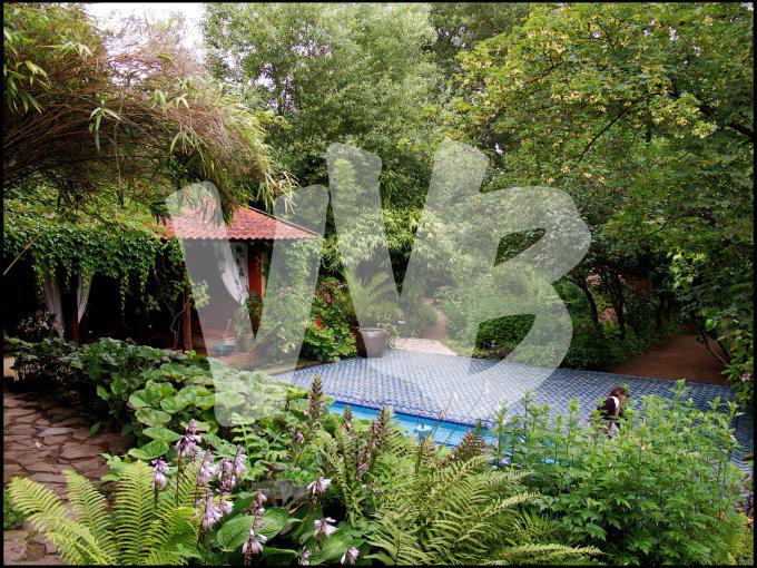 Milinger theetuin  vvbvanbree 3358