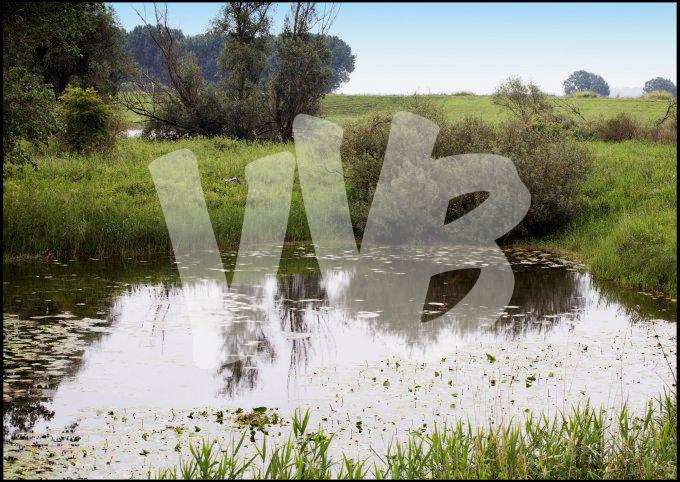 ooypolder nijmegen   vvbvanbree 3365