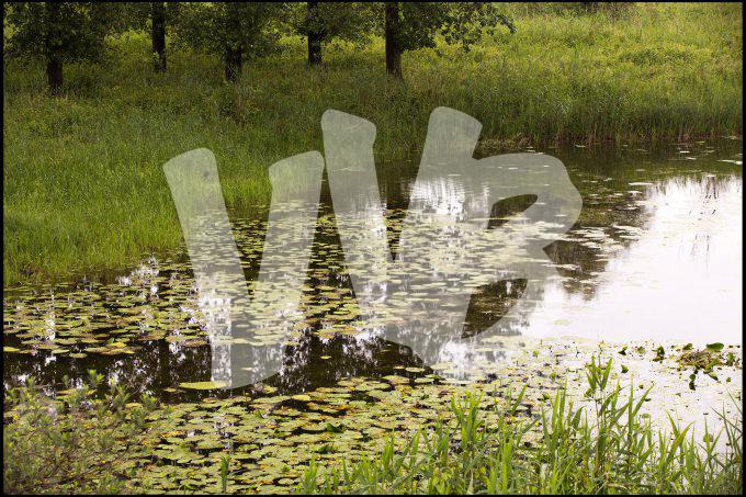 ooypolder nijmegen   vvbvanbree 3366