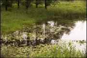 ooypolder nijmegen   vvbvanbree 3366