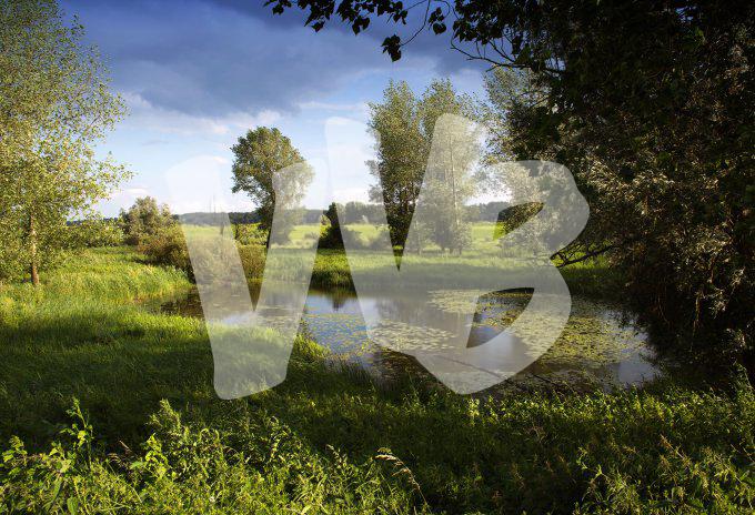 ooypolder nijmegen   vvbvanbree 3369