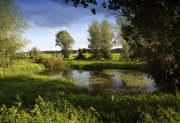 ooypolder nijmegen   vvbvanbree 3369