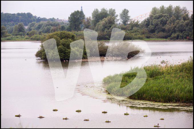 ooypolder nijmegen   vvbvanbree 3371