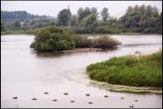 ooypolder nijmegen   vvbvanbree 3371