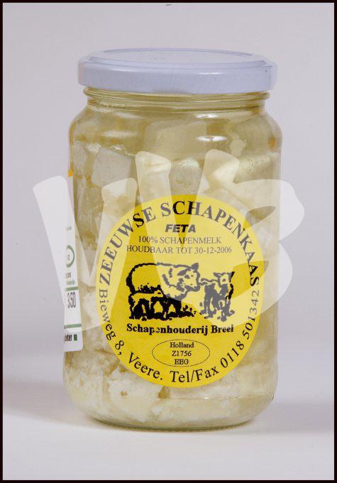 schapenhouderij   vvbvanbree 3376