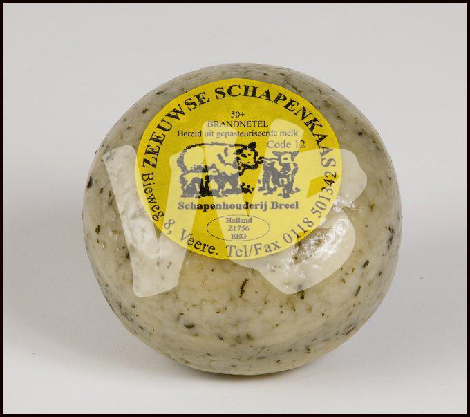 schapenhouderij   vvbvanbree 3377