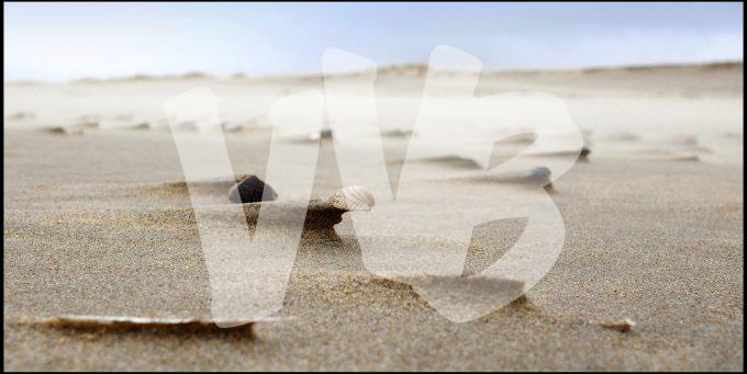 Texel  vvbvanbree 3378