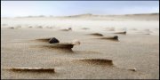 Texel  vvbvanbree 3378