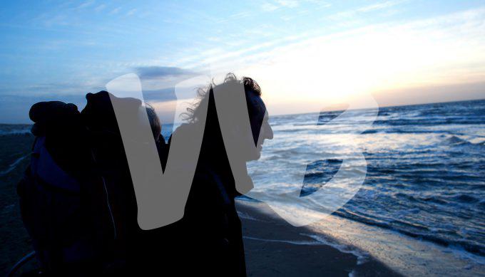 Texel  vvbvanbree 3379