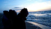 Texel  vvbvanbree 3379