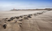 Texel  vvbvanbree 3381