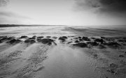 Texel  vvbvanbree 3382