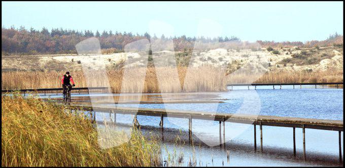 vvbvanbree natuurgebied bij Hilversum  3170