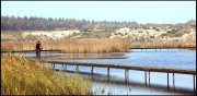 vvbvanbree natuurgebied bij Hilversum  3170