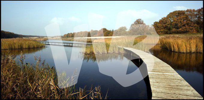 vvbvanbree natuurgebied bij Hilversum  3171