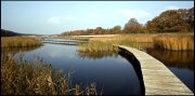 vvbvanbree natuurgebied bij Hilversum  3171