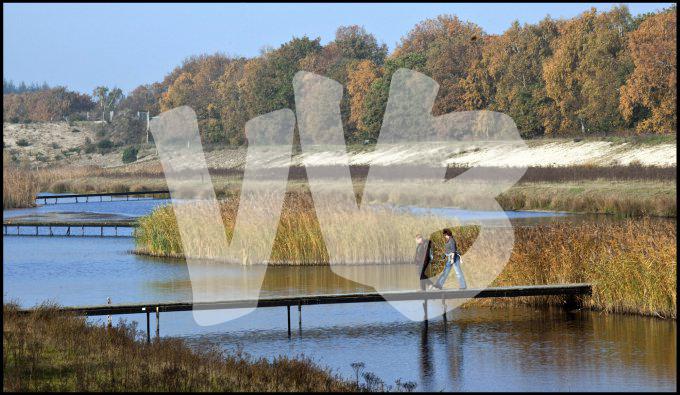 vvbvanbree natuurgebied bij Hilversum  3172