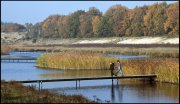vvbvanbree natuurgebied bij Hilversum  3172