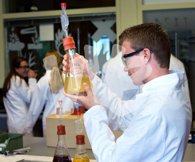vvbvanbree div onderwijs 2144