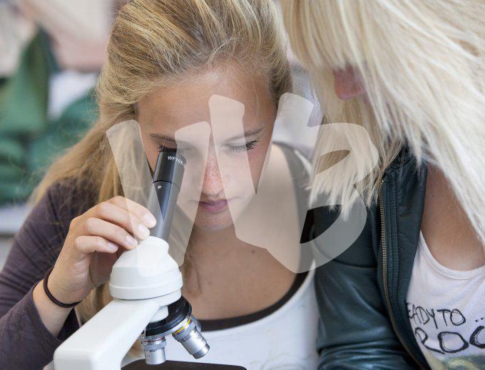 vvbvanbree div onderwijs 2165